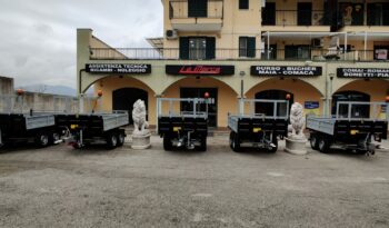 
										Rimorchio Operatrice 35 Q.li (Pronta Consegna) full									