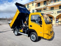 
										DURSO MULTIMOBIL 50.50 4X4 PRONTA CONSEGNA full									